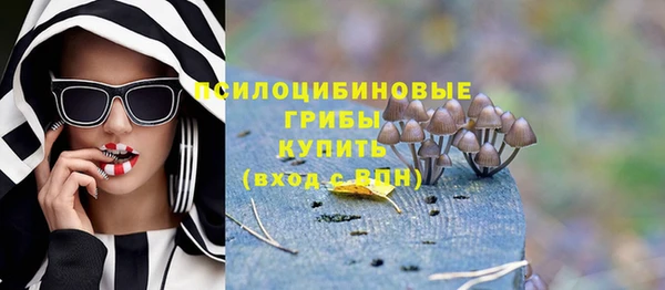 круглые Аркадак