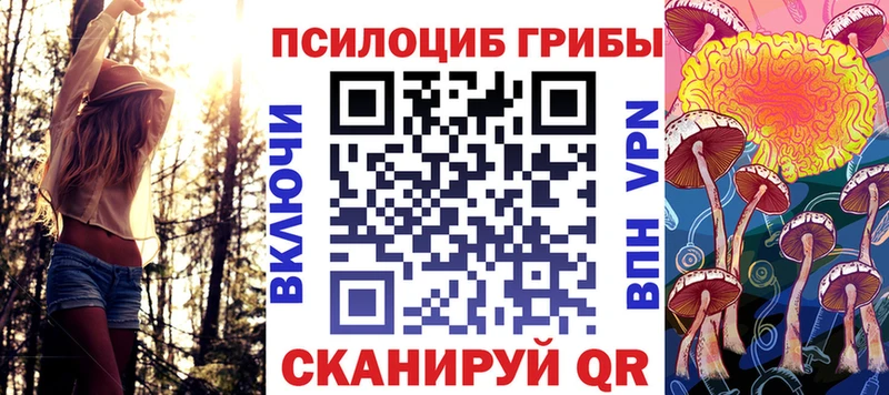 цены наркотик Сокол OMG ССЫЛКА Галлюциногенные грибы мухоморы