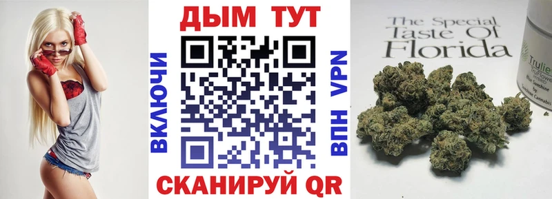 Бошки Шишки VHQ Сокол